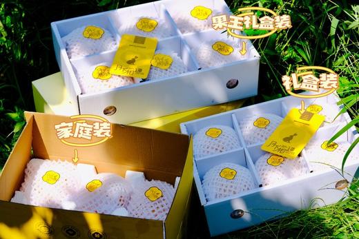 【2025新一批】秋月梨是日本选育的中晚熟褐色沙梨品种【吃海芒芒｜山东莱阳秋月梨】坚决不早采，人工用心挑采 商品图4