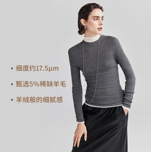 棉仓366635040-可机洗全羊毛打底衫女25秋冬120s18针打底针织衫 商品图2