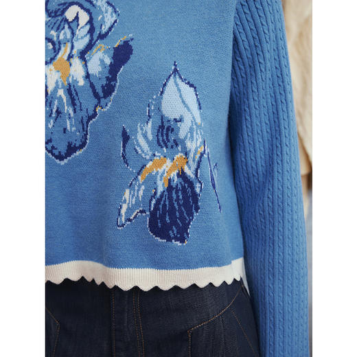 两三事梵高文艺 雾野回声 2025秋季新款鸢尾花提花套头针织衫女 商品图3