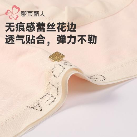 都市丽人女士内裤50支棉内裤女士平角内裤女内裤纯棉内裤LKH5S9 商品图6