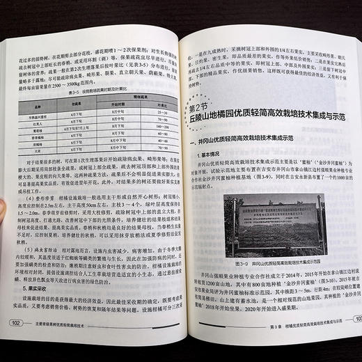 主要常绿果树优质轻简栽培技术 商品图4