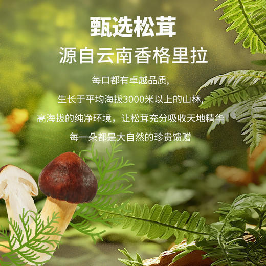 控能 松茸苏打饼干 140g*3 商品图2