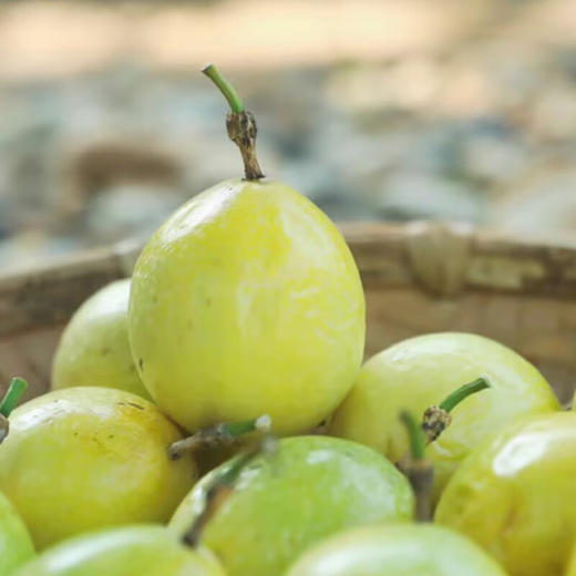 百果园黄金百香果（注：冷冻生鲜类商品不退，质量问题只换） 商品图3