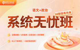 2028新疆专升本系统无忧班（语文+政治）