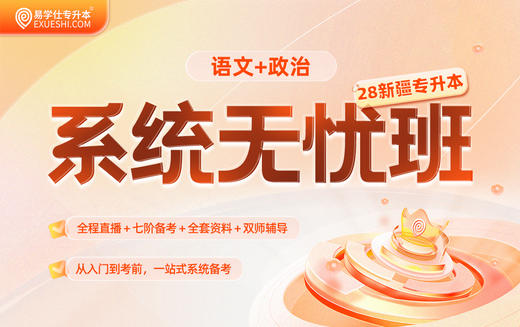 2028新疆专升本系统无忧班（语文+政治） 商品图0