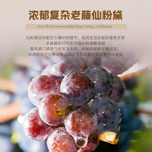【加州纳帕谷产区】美国艾赞仙粉黛干红葡萄酒  果香洋溢 口感平衡 14.5%vol 商品图7