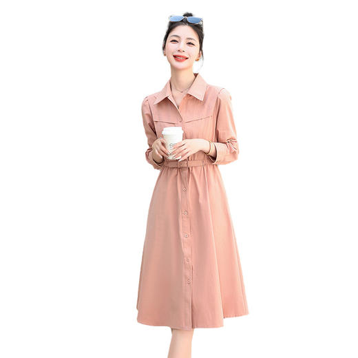 WG32029早春秋女装2025年新款穿搭法式长袖收腰衬衫连衣裙子优雅 商品图4