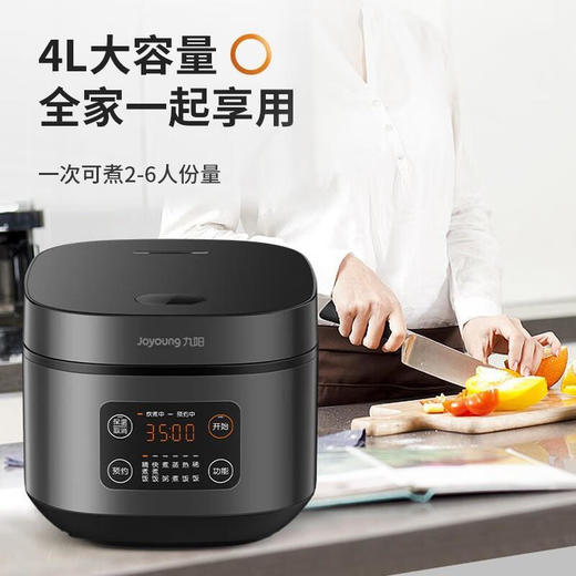 九阳 F40FZ-F339 电饭煲（迎）—rxs 商品图0