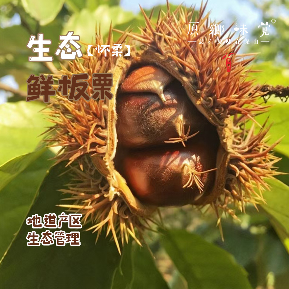 【每周二周五发货】怀柔生态鲜板栗/速冻板栗仁（基地直发-申通包邮） | 多种规格，来自北京怀柔，生产者：王秀亮【合作生产，公平贸易】
