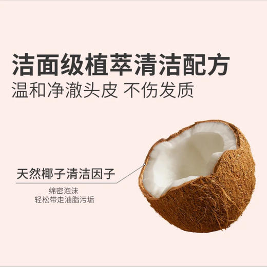 宫中秘策儿童润护洗发水 商品图4