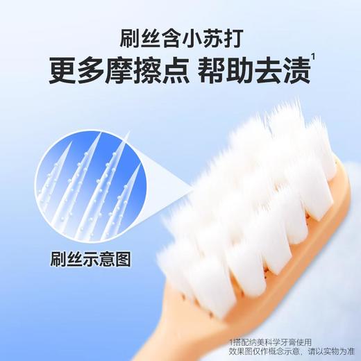 纳美探白研清牙刷三支装 商品图5