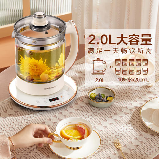 荣事达钛发热盘养生壶YSH2002T—rxs 商品图4