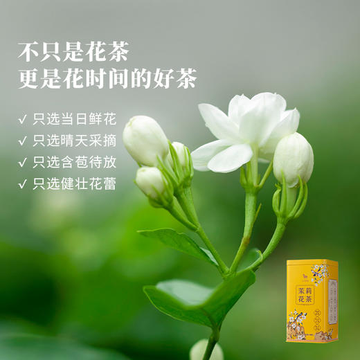 八马茶业 | 寻香·明前春绿·茉莉花茶152g 商品图4