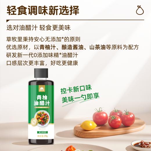【3瓶特惠价】草牧里 青柚油醋汁 270g/瓶 清爽柚香咸鲜爽口 商品图1