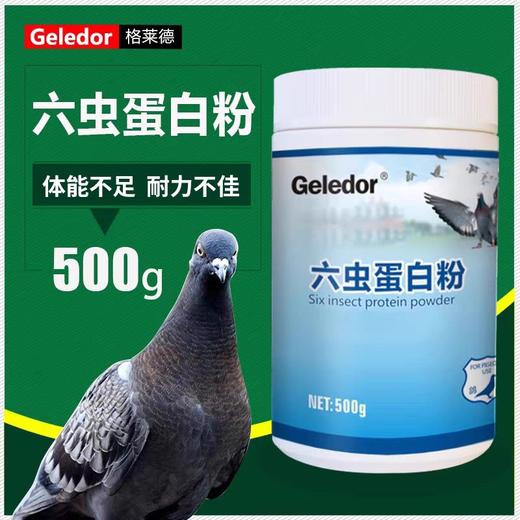 【六虫粉】100%纯天然昆虫蛋白（格莱德） 商品图1