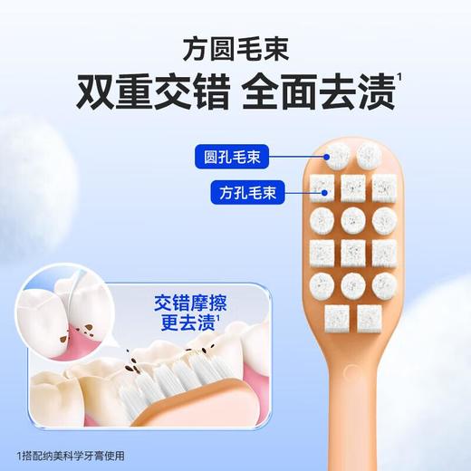 纳美探白研清牙刷三支装 商品图3