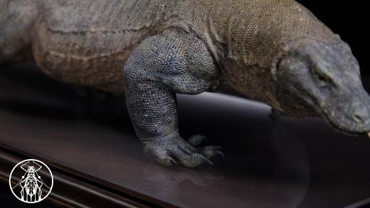 【预售 11月底前发货】科莫多巨蜥 写实题材风格树脂模型摆件雕像 ★APHID STUDIO 官方正版 商品图1