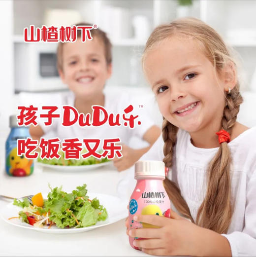 山楂树下 DuDu乐100%山楂果汁 商品图3