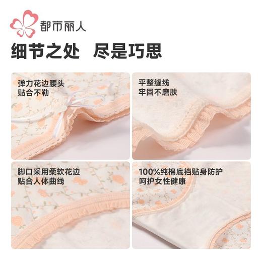 都市丽人女士内裤40支棉内裤女士平角内裤女内裤纯棉内裤LKH5V9 商品图6