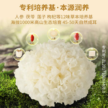 金唐 有机本草银耳40g*4罐套装冲泡即食银耳莲子羹送焖烧杯节日礼品 /粮油调味 /南北干货 /菌菇干货 商品图0