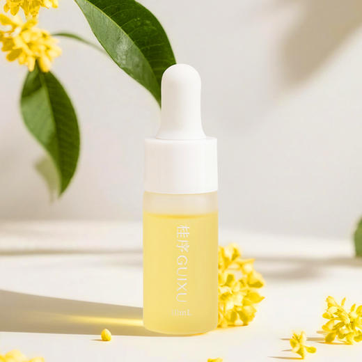 桂序扩香石礼盒 商品图2