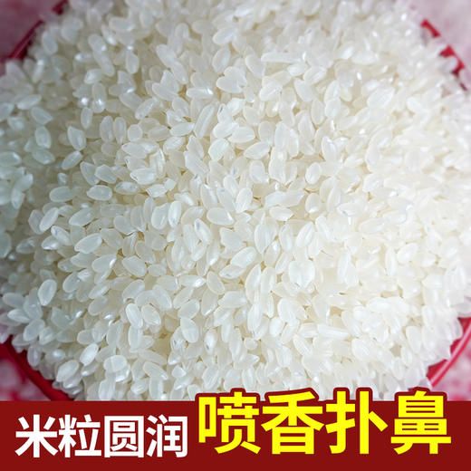 乡谷坊福气稻500g—rxs 商品图4