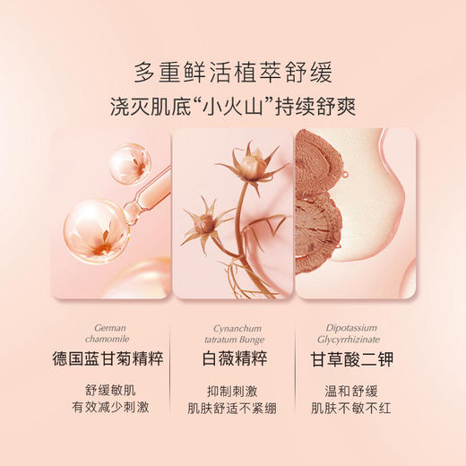 贝德美青少年毛孔净化控油水110ml 商品图1