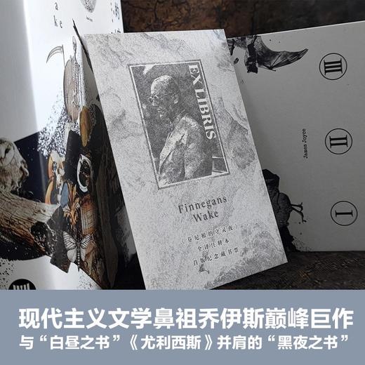 芬尼根的守灵夜 全译注释本 赠藏书票 詹姆斯乔伊斯 与尤利西斯并肩的世界文学经典 译林出版社 华东师范大学出版社 商品图1