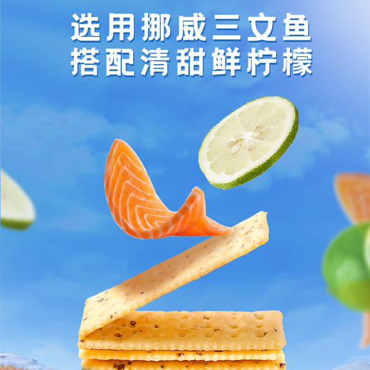 煌记青柠三文鱼苏打饼干160g 商品图3