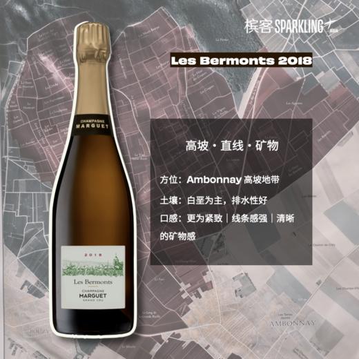 Marguet Les Bermonts 2018 魔爵百梦年份香槟 2018（单一园） 商品图0