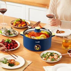 新飞（Frestec）电火锅3L FTHG-R060