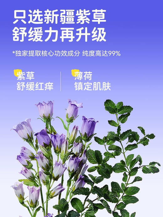 飞虎牌 紫草舒缓止痒膏 6g 商品图1