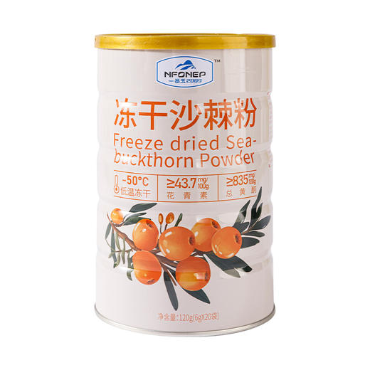 【新疆好物】新疆冻干沙棘粉 绿色自然 营养守护 果香十足 120g/罐 商品图5