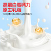 【神气水牛】5.0g乳蛋白 水牛纯牛奶125mL*9盒/箱 多规格 商品缩略图4