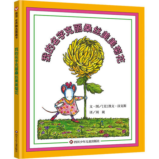 我的名字克丽桑丝美美菊花 商品图0