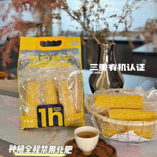 【超值傻小胖/早安系列有机玉米】常温存放。来自内蒙古/黑龙江大草原的甜糯玉米，昼夜温差造就了口感纯净天空下，孕育出的玉米中的香，甜，糯。每一粒都能代表它的品质 商品图14