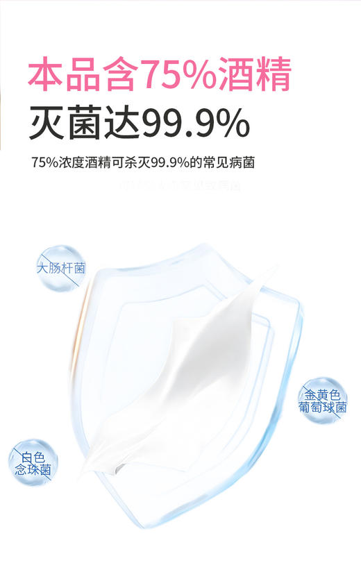 【泰迪熊联名款】涤小萌酒精卫生湿巾75%差旅防护·一擦双效·母婴安心，随时随地的健康守护 商品图2