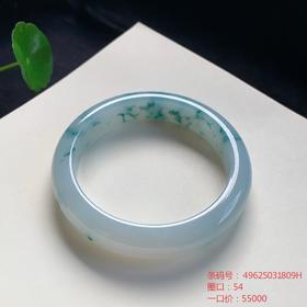 高货飘花翡翠手镯 传家宝温润圆满中式翡翠手镯49625031809H（一口价）
