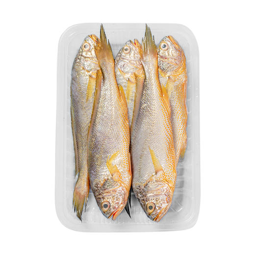 【金鳞献瑞】野生黄鱼380g/5条 蒜瓣肉质 鲜嫩美味 商品图3