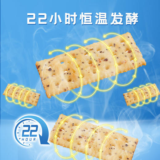 煌记青柠三文鱼苏打饼干160g 商品图4