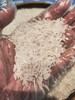 金挞莉柬埔寨香米 传统农耕 软糯清香 外表细长 洁白晶莹  省内顺丰包邮！ 商品缩略图5