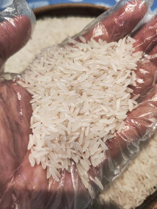 金挞莉柬埔寨香米 传统农耕 软糯清香 外表细长 洁白晶莹  省内顺丰包邮！ 商品图5