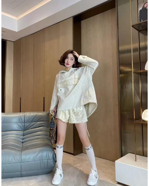 TY326-Dior 迪奥 金钱logo冲锋衣（PG*MM） 商品图3