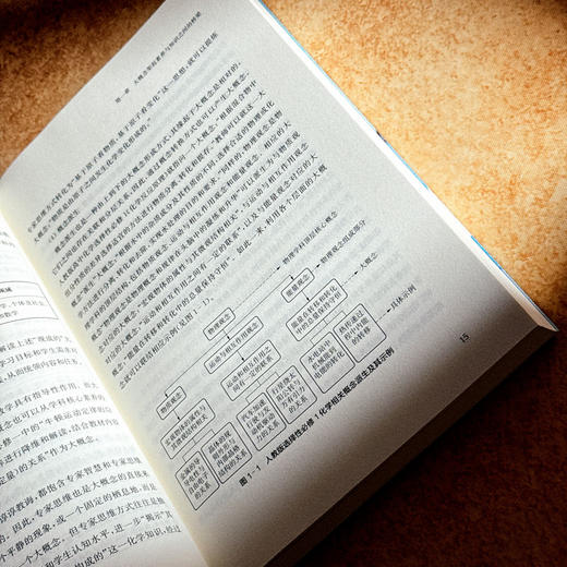 素养导向的大概念教学 李学书 双新视角下聚焦核心素养培养 商品图11