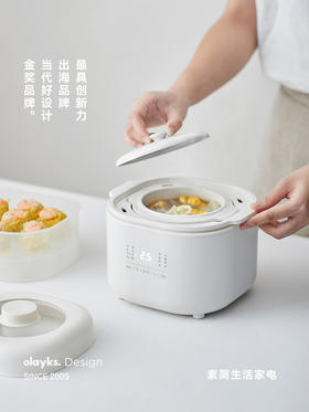 【出口迷你电炖锅】olayks立时电炖锅燕窝小炖盅隔水炖家用煲汤宝宝煮粥锅婴儿辅食锅
