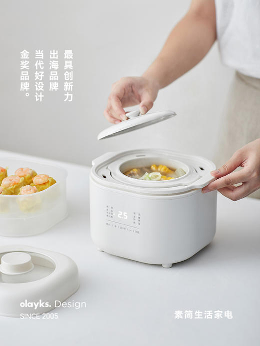 【出口迷你电炖锅】olayks立时电炖锅燕窝小炖盅隔水炖家用煲汤宝宝煮粥锅婴儿辅食锅 商品图0