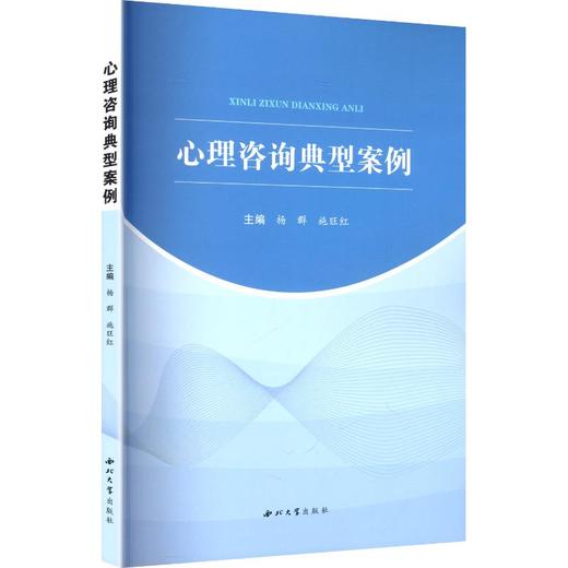心理咨询典型案例 商品图0