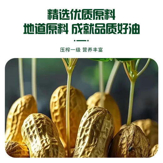 海天压榨一级花生油5L水滴壶 商品图6