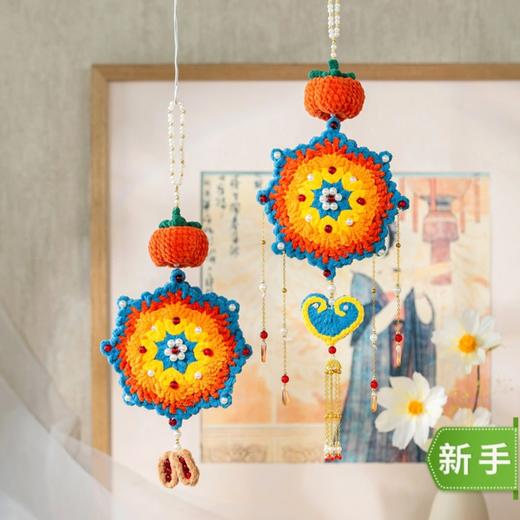 苏苏姐家静彩花囊挂件手工diy编织钩针毛线团自制创意材料包 商品图0