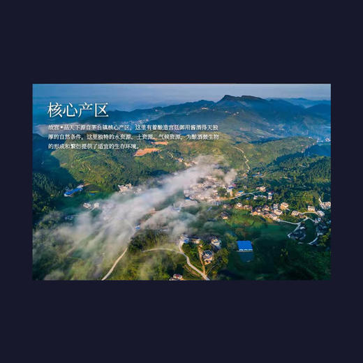 故宫品天下 收藏 20 53度酱香型条白酒500ml 【中秋特惠 买一送一】 商品图2